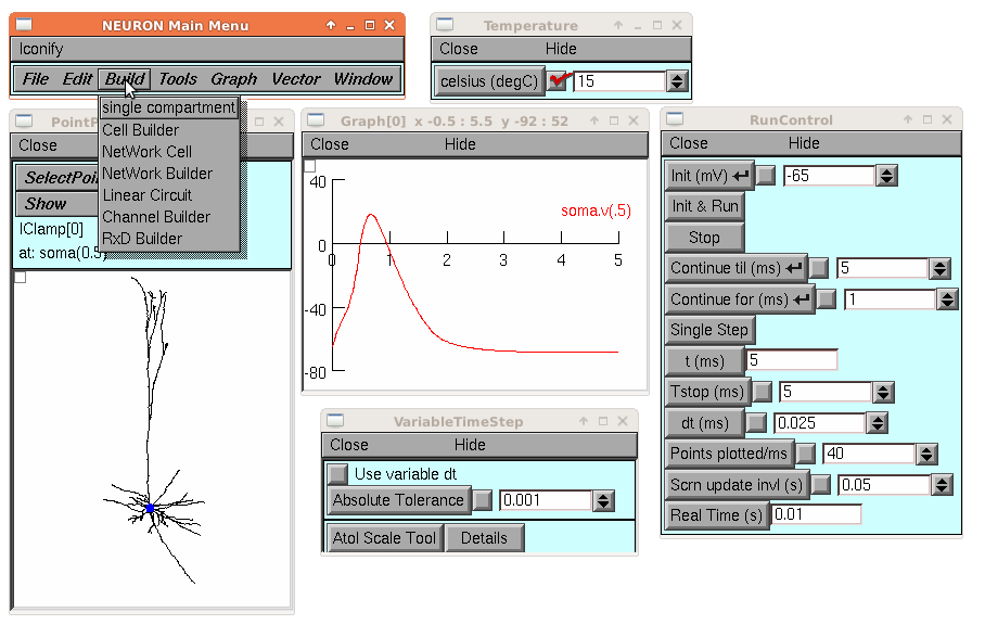 neuron simulation software
